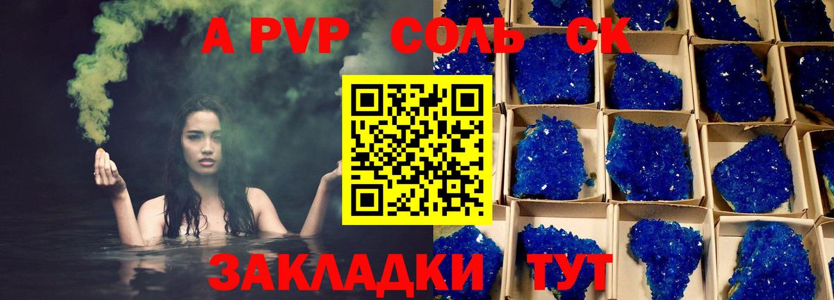 Alfa_PVP СК КРИС Минеральные Воды