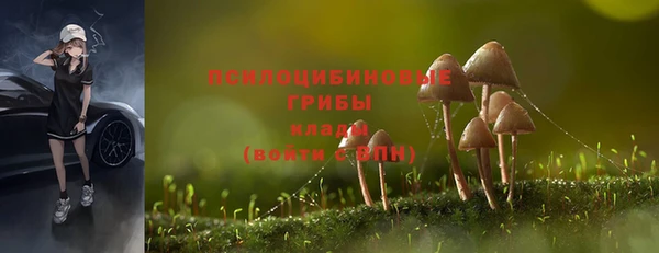 2c-b Волосово