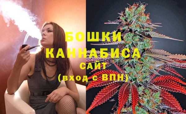 PSILOCYBIN Кукмор
