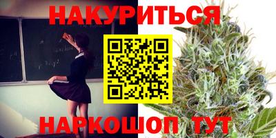 мдпв Заводоуковск