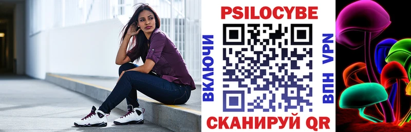 где найти   Минеральные Воды  Галлюциногенные грибы Psilocybine cubensis 