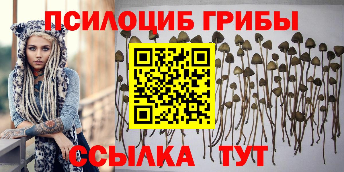 Псилоцибиновые грибы прущие грибы  Вход с VPN  Минеральные Воды  Галлюциногенные грибы ЛСД 